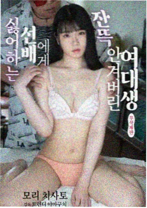 天堂视频免费在线观看剧集长夜归途封面图